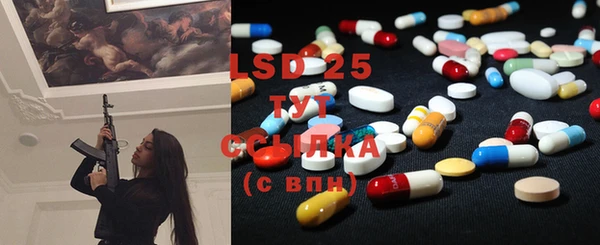 PSILOCYBIN Бородино
