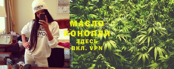 PSILOCYBIN Бородино