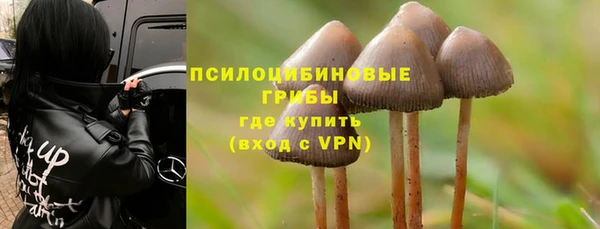 хмурый Бронницы