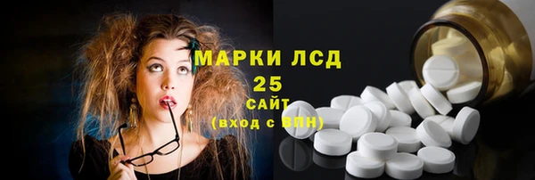 PSILOCYBIN Бородино