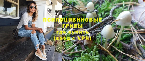 хмурый Бронницы