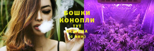 хмурый Бронницы