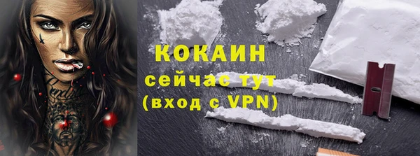 PSILOCYBIN Бородино