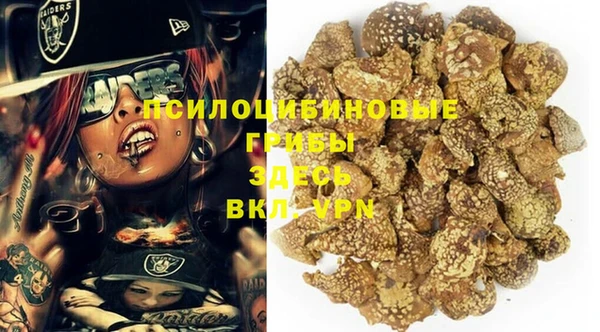 хмурый Бронницы