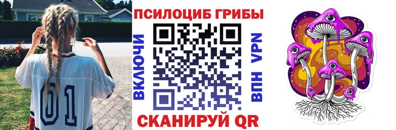 Купить  Приволжский  Псилоцибиновые грибы мицелий 
